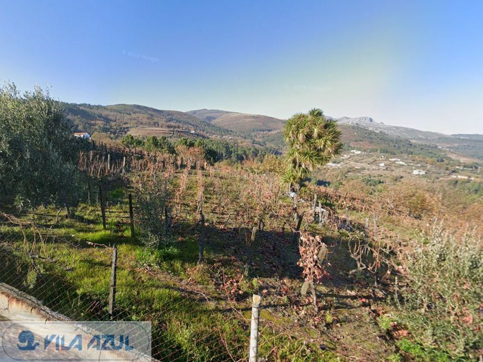 Helårsgrund i Mesao Frio, Vila Real - foto 5
