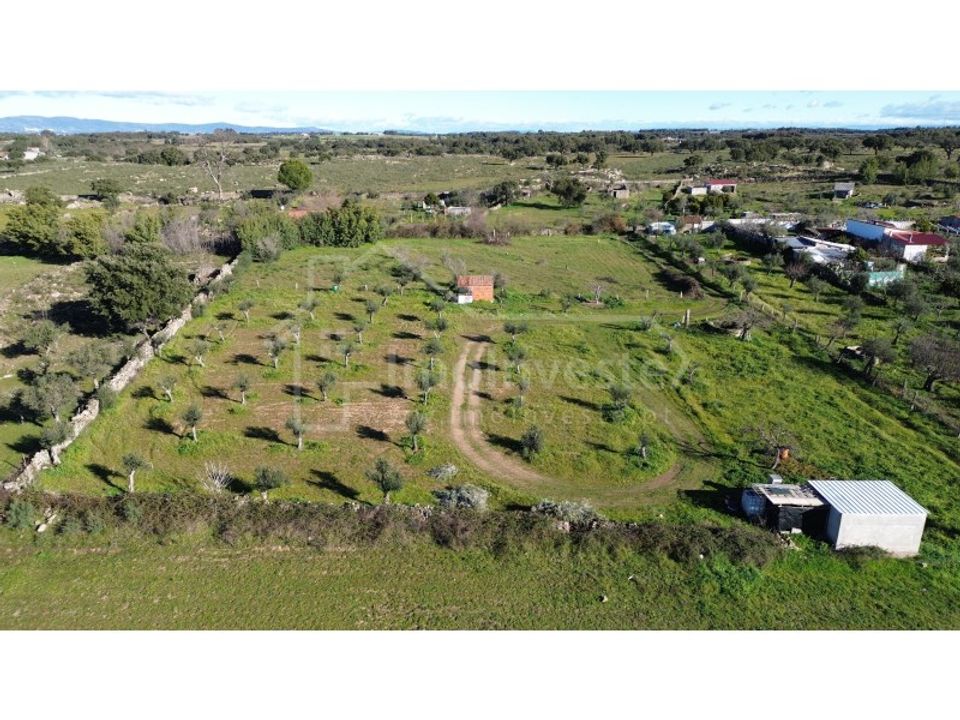 Helårsgrund i Alcains, Castelo Branco - foto 2