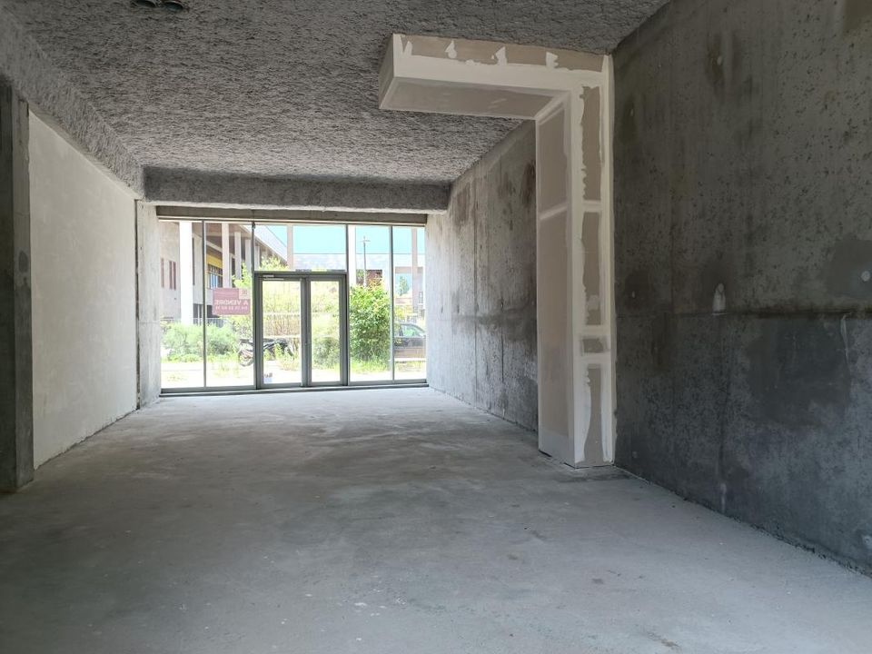 Erhvervsejendom i Saint-Genis-Pouilly, Ain - foto 2