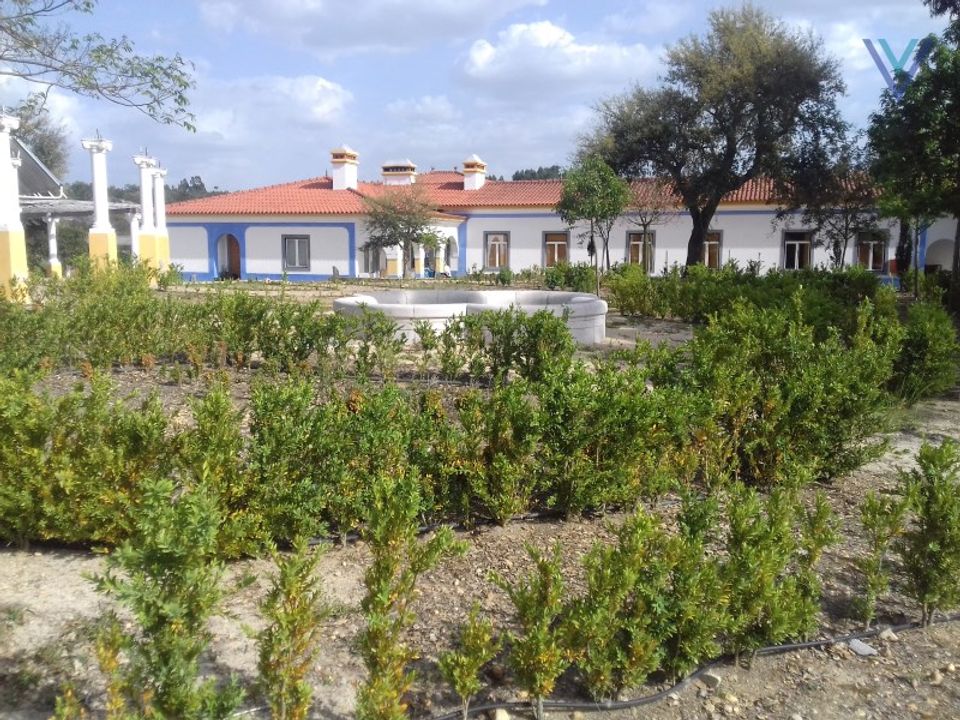 Farm i Almeirim, Santarem - foto 5