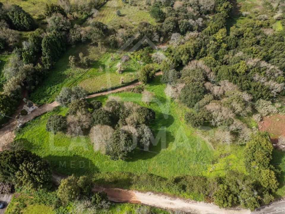 Terra a Turquel, Leiria - foto 1