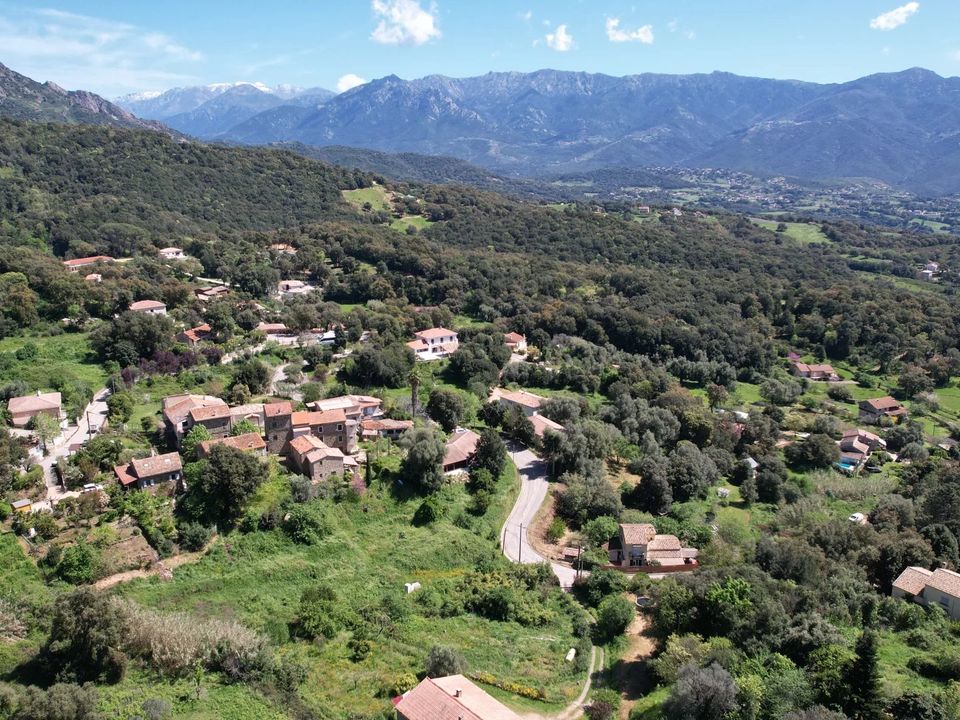 Tomt i Valle-di-Mezzana, Corse-du-Sud - bilde 1