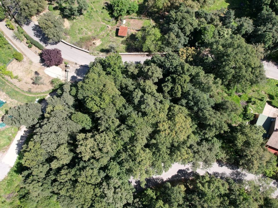 Tomt i Valle-di-Mezzana, Corse-du-Sud - bilde 4