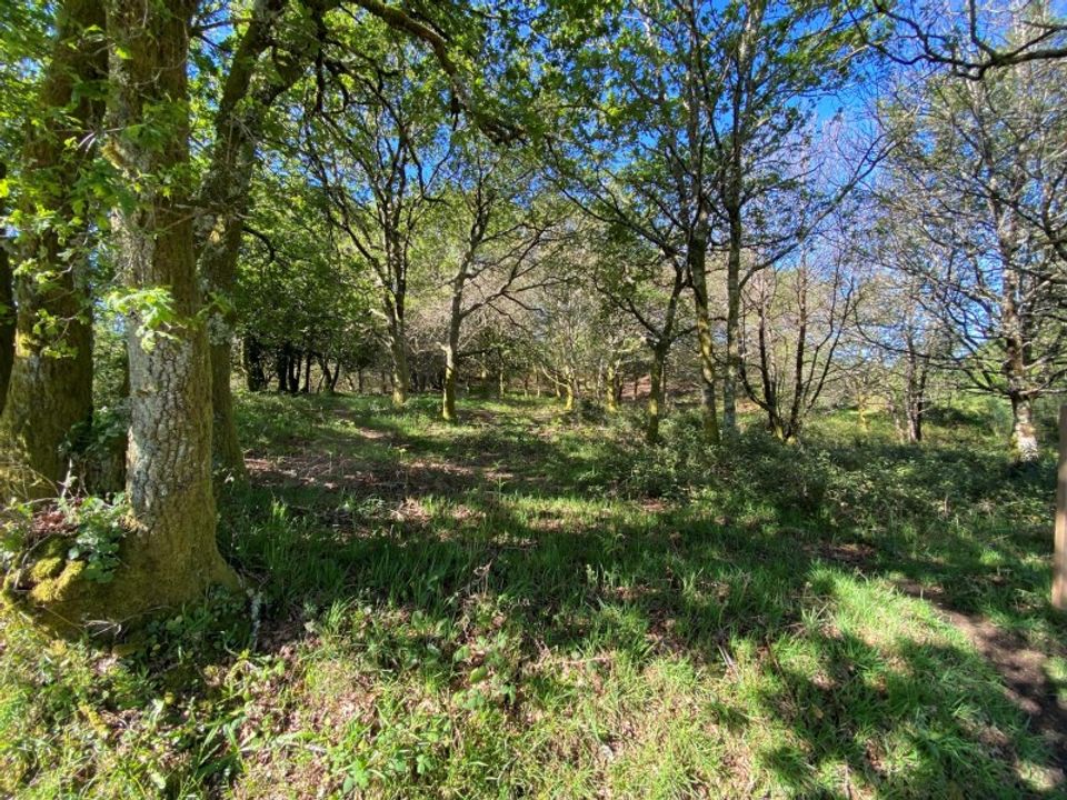 Helårsgrund i Paredes de Coura, Viana do Castelo - foto 2