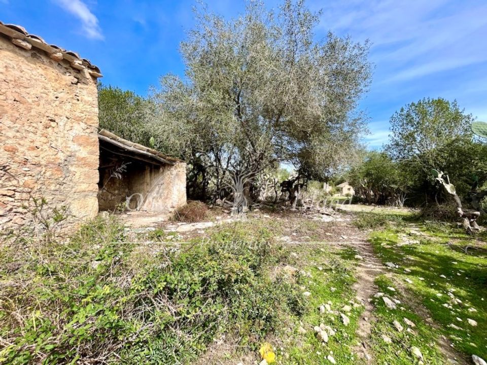 Ruinere i Sineu, Mallorca - foto 5