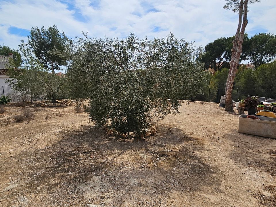 Helårsgrund i Pinar De Campoverde, Alicante - foto 1