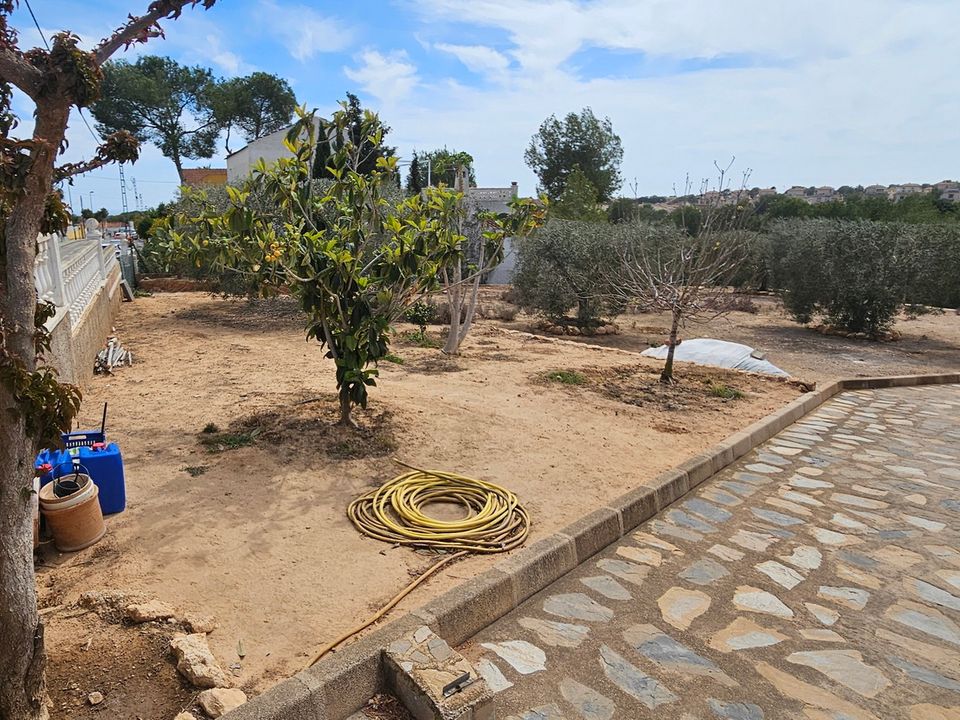 Helårsgrund i Pinar De Campoverde, Alicante - foto 3