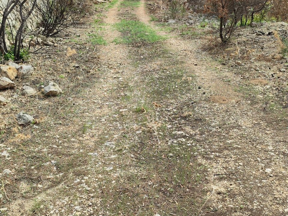 Erhvervsejendom i Melilli, Siracusa - foto 5
