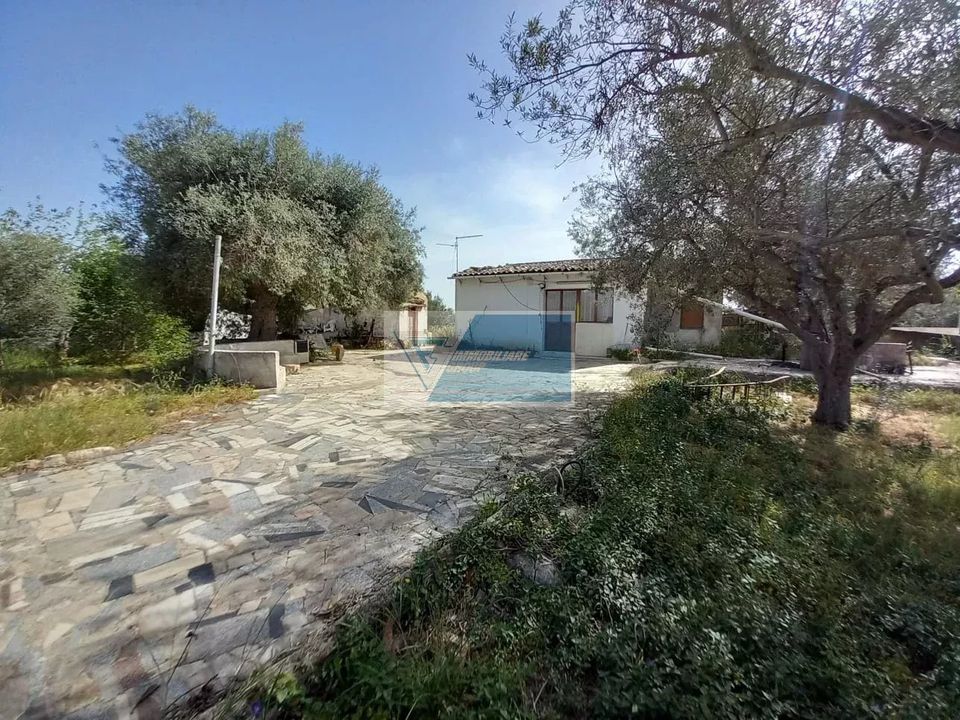 Villa i Floridia, Siracusa - foto 4