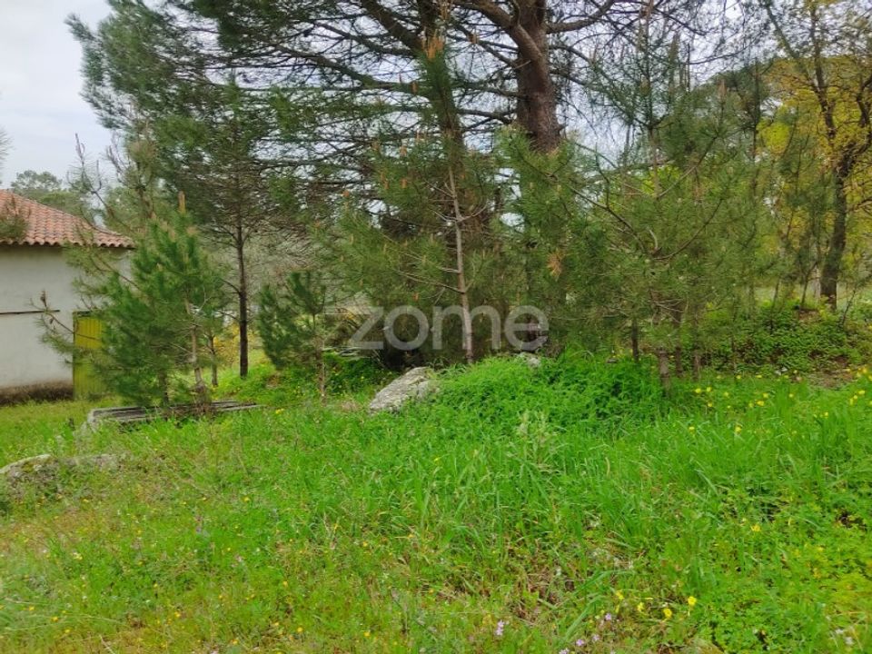 Terra a Nelas, Viseu - foto 4
