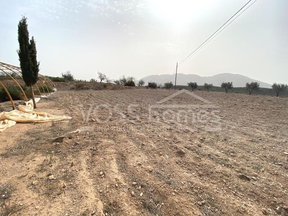 Landejendom i Huercal-Overa, Almeria - foto 5