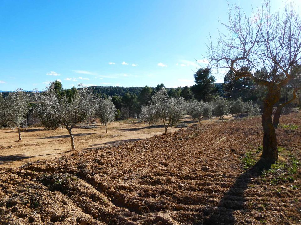 Finca i Mazaleon, Teruel - foto 4