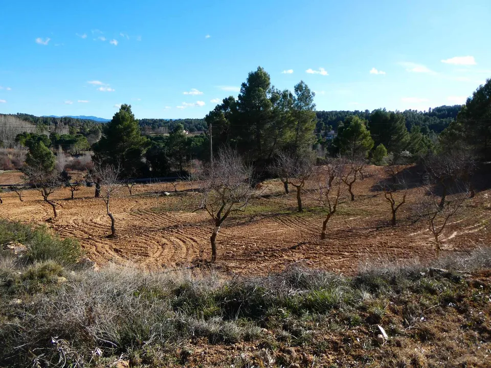 Finca i Mazaleon, Teruel - foto 2