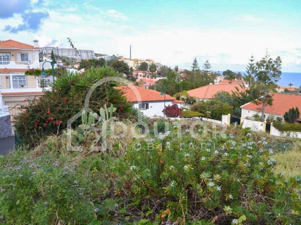 Helårsgrund i Canico de Baixo, Madeira - foto 3