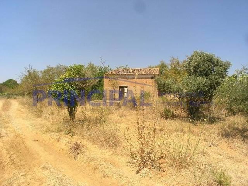 Ruinere i Silves, Faro - foto 2