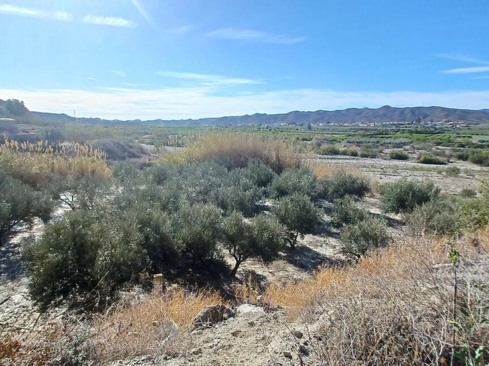 Erhvervsejendom i Arboleas, Almeria - foto 2