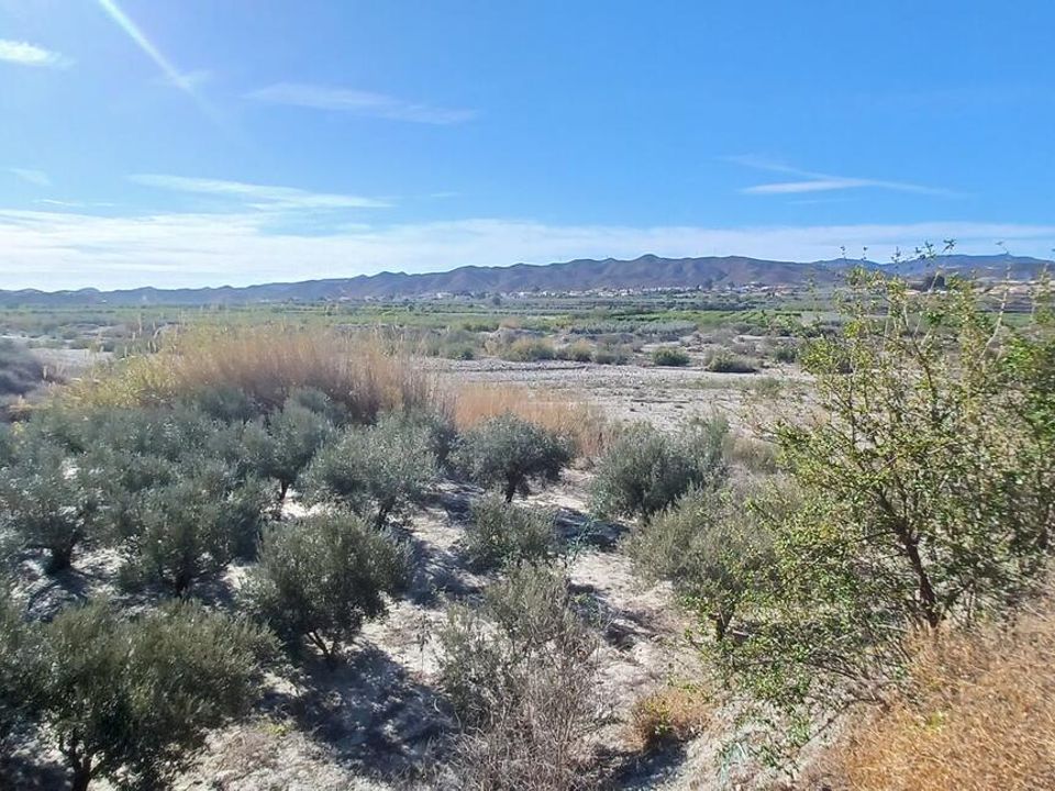 Erhvervsejendom i Arboleas, Almeria - foto 5