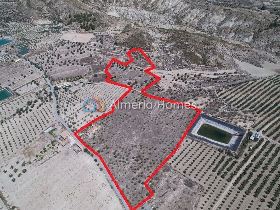 Landejendom i Lucar, Almeria - foto 3