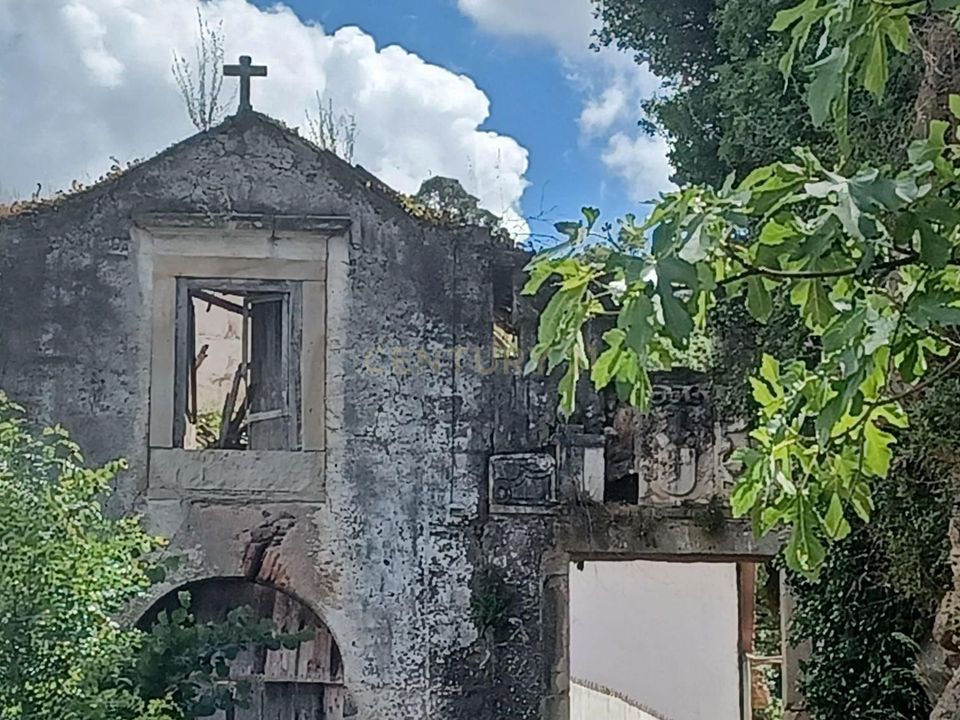 Farm hus i Coimbra, Coimbra - foto 3