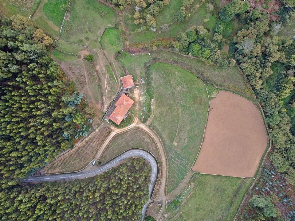 Farm hus i Alvarenga, Aveiro - foto 3