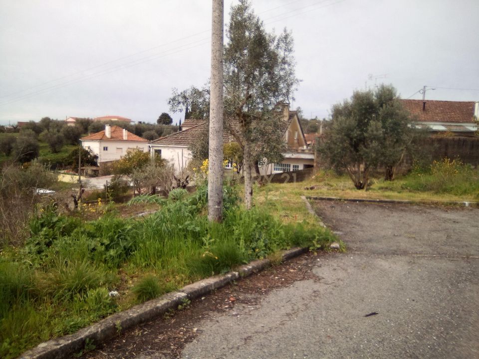 Helårsgrund i Tomar, Santarem - foto 3
