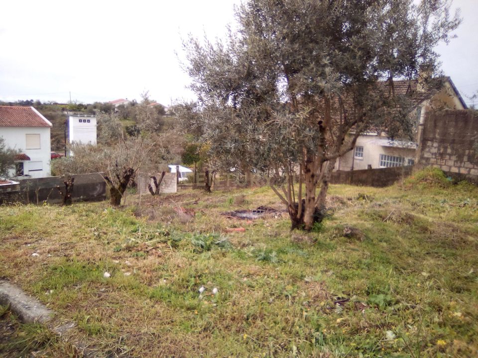 Helårsgrund i Tomar, Santarem - foto 1