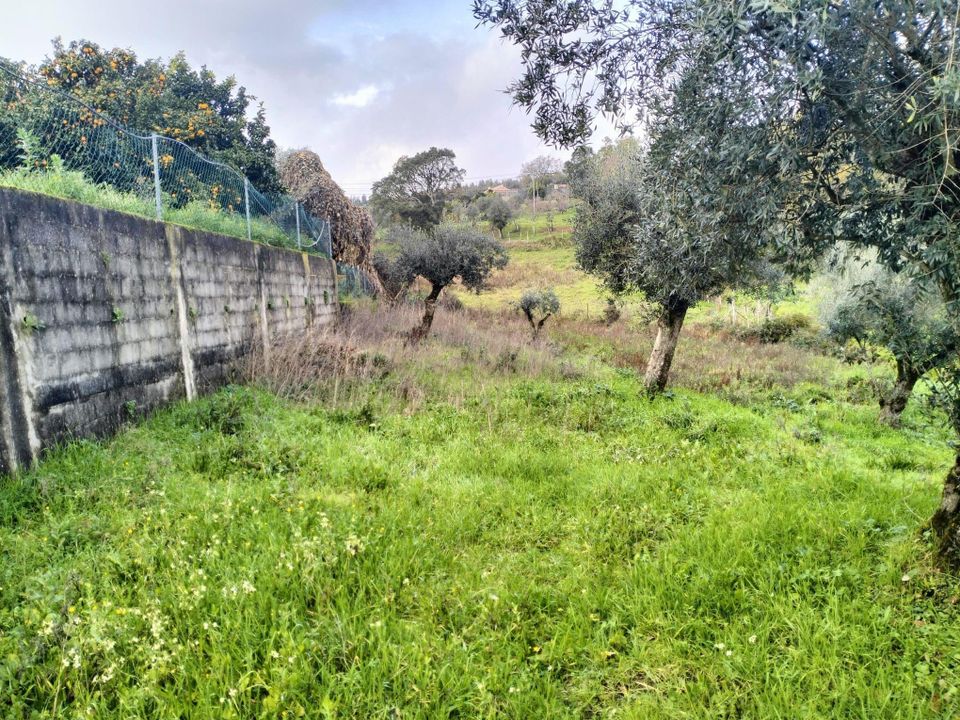 Helårsgrund i Ferreira do Zezere, Santarem - foto 1