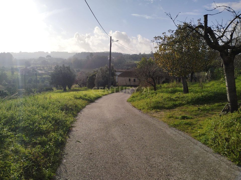 Helårsgrund i Ferreira do Zezere, Santarem - foto 5