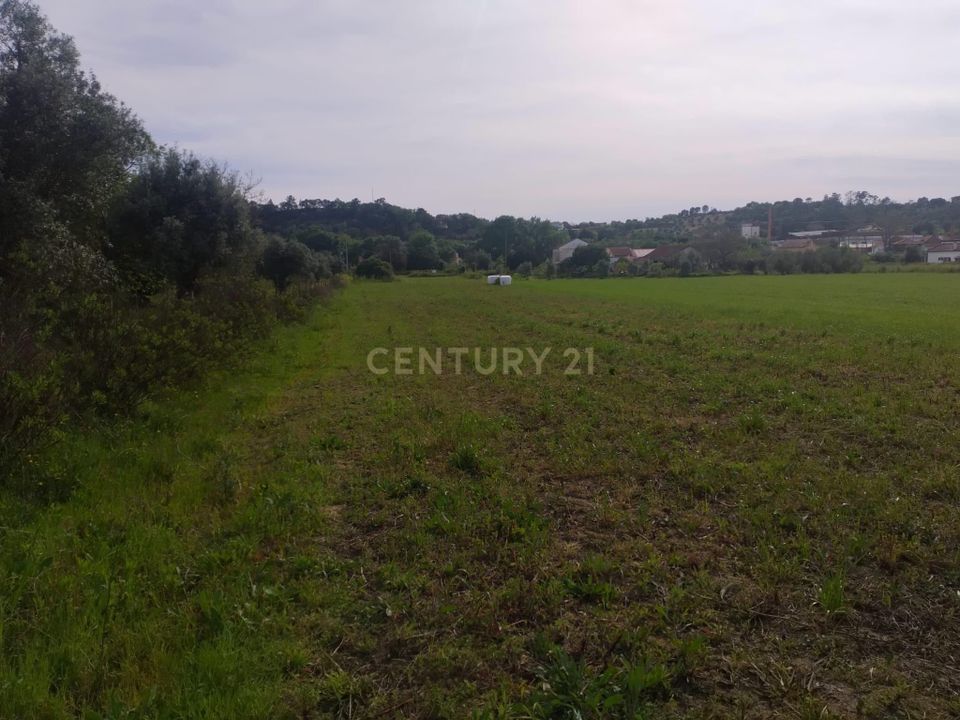 Helårsgrund i Tomar, Santarem - foto 1