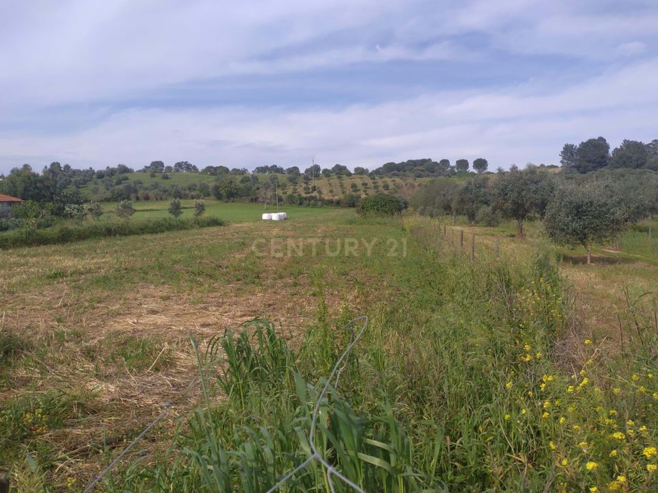 Helårsgrund i Tomar, Santarem - foto 2