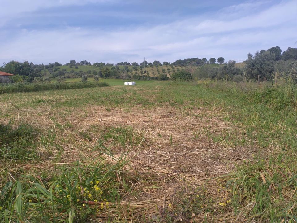 Helårsgrund i Tomar, Santarem - foto 3