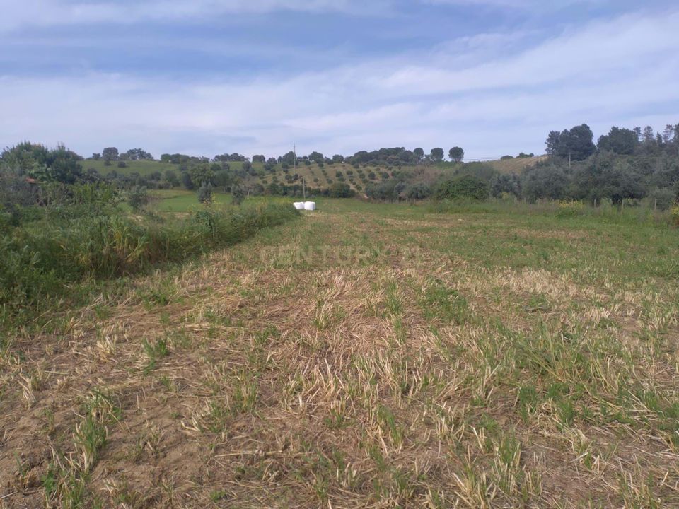 Helårsgrund i Tomar, Santarem - foto 4
