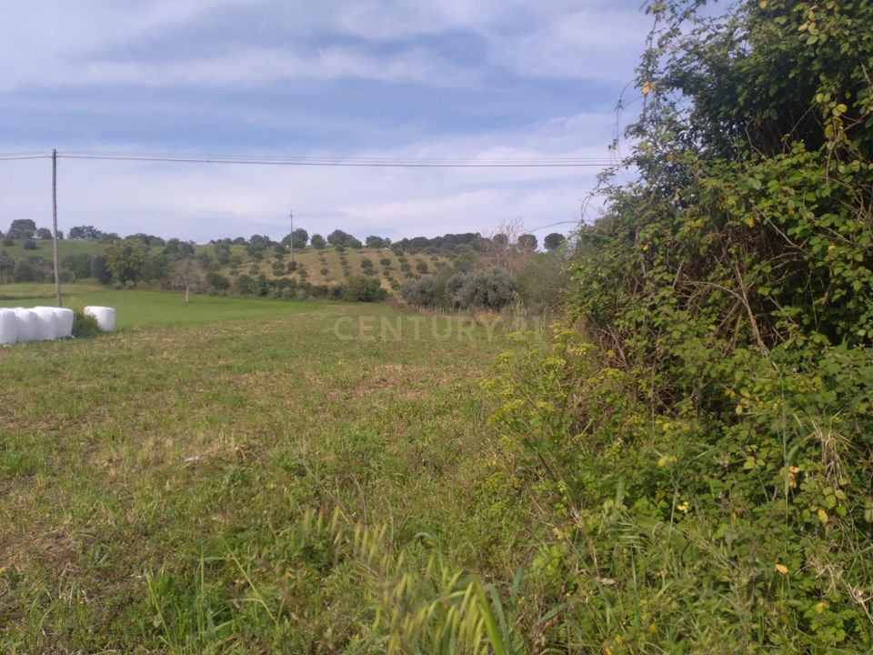 Helårsgrund i Tomar, Santarem - foto 5