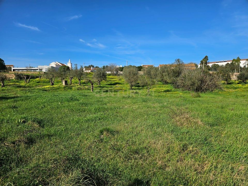 Terreno en Constancia, Santarem - foto 3