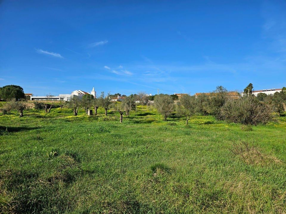 Terreno en Constancia, Santarem - foto 4