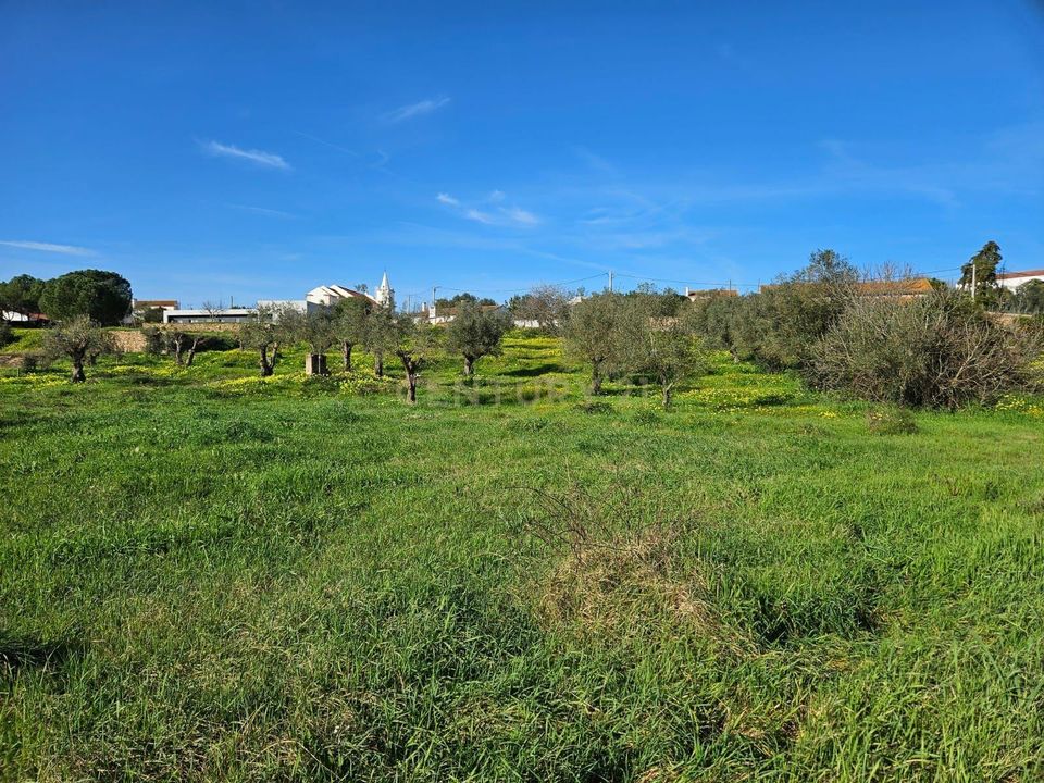 Terreno en Constancia, Santarem - foto 5
