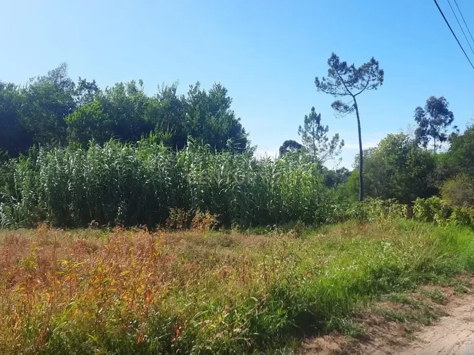 Helårsgrund i Vagos, Aveiro - foto 2