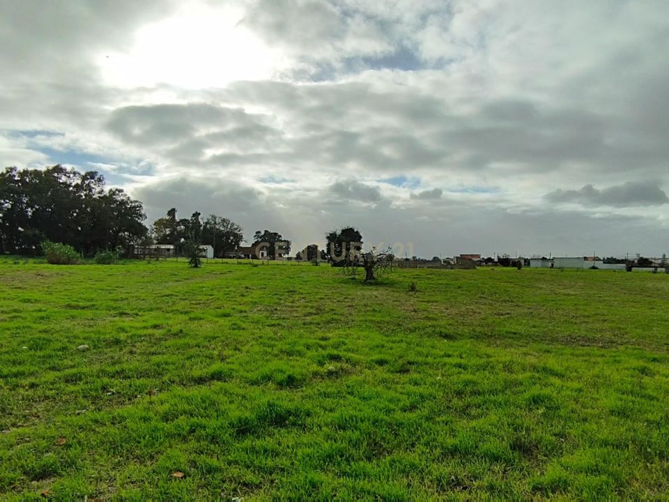Helårsgrund i Montijo, Setubal - foto 4