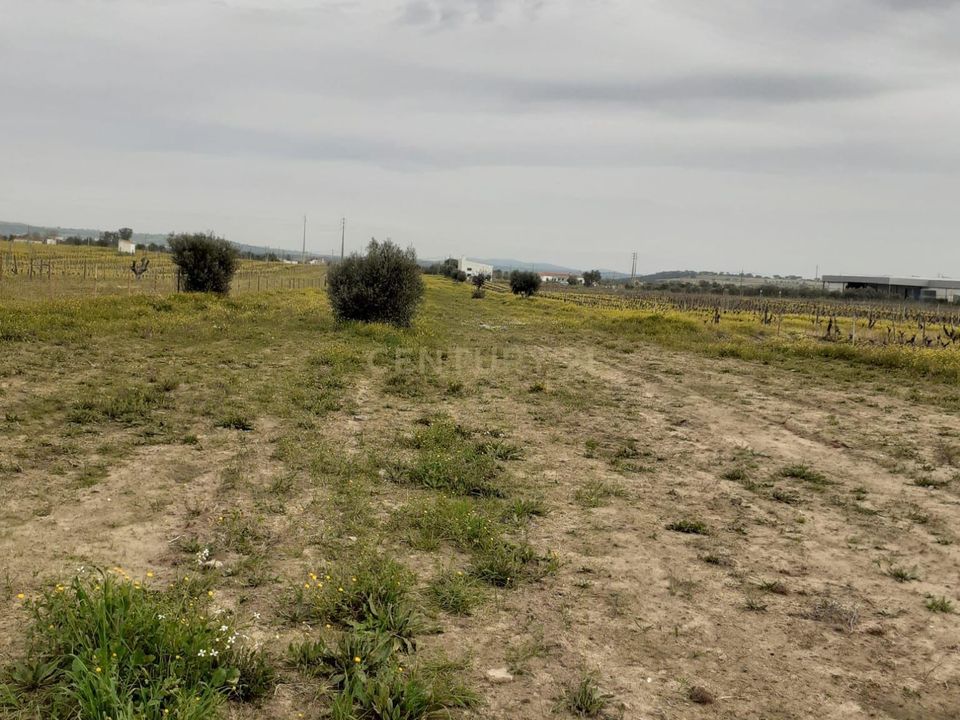 Helårsgrund i Reguengos de Monsaraz, Evora - foto 5