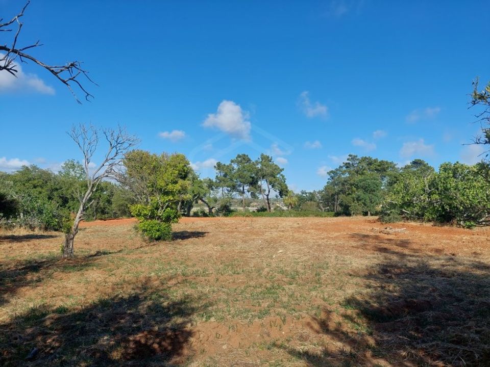 Farm i Armacao de Pera, Faro - foto 2