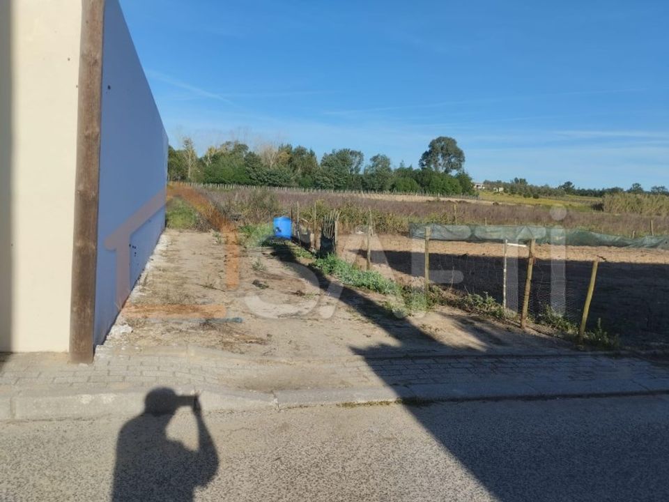 Helårsgrund i Alpiarca, Santarem - foto 3