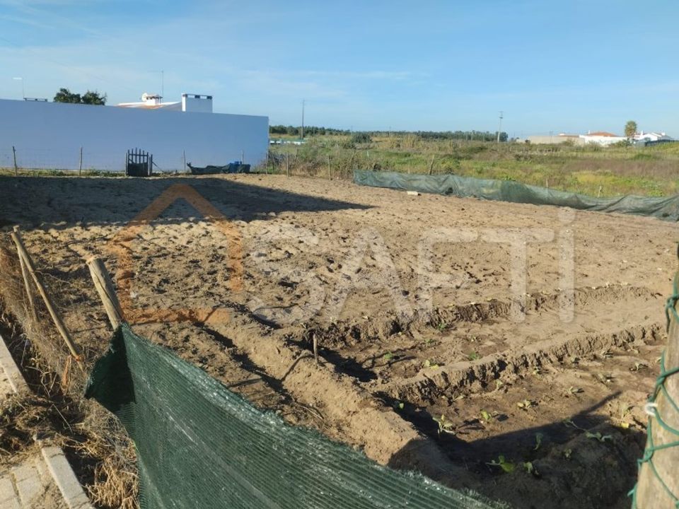 Helårsgrund i Alpiarca, Santarem - foto 4