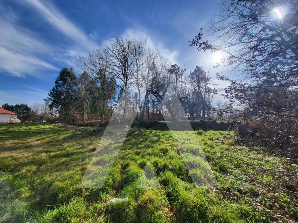 Helårsgrund i Viseu, Viseu - foto 5