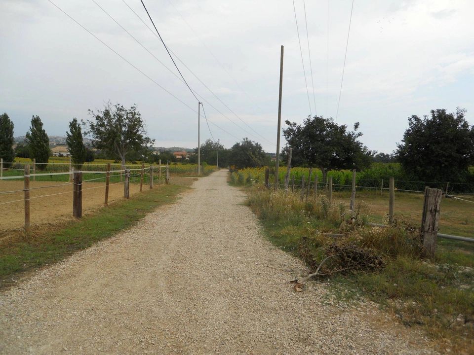 Terra em Collecorvino, Pescara - foto 2