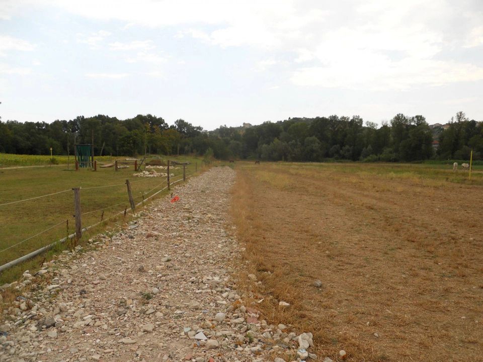 Terra em Collecorvino, Pescara - foto 4