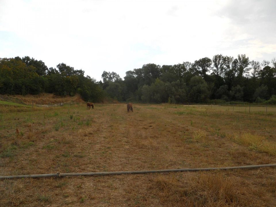 Terra em Collecorvino, Pescara - foto 5