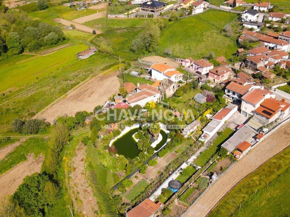 Farm i Santa Maria da Feira, Aveiro - foto 1