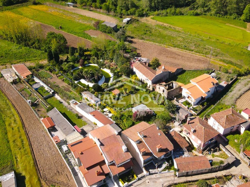 Farm i Santa Maria da Feira, Aveiro - foto 3