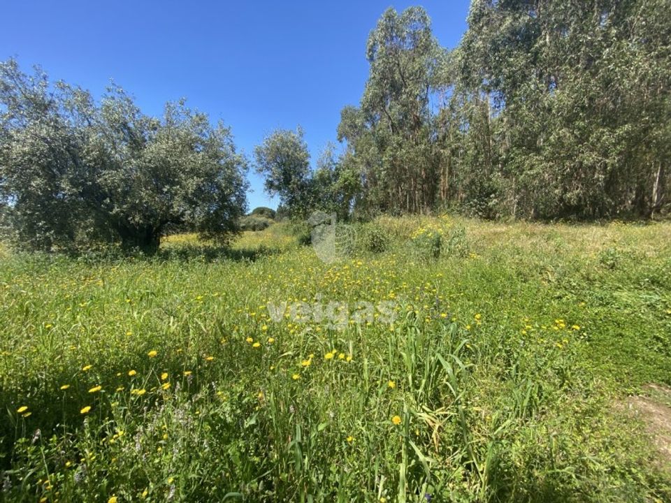 Helårsgrund i Rio Maior, Santarem - foto 1