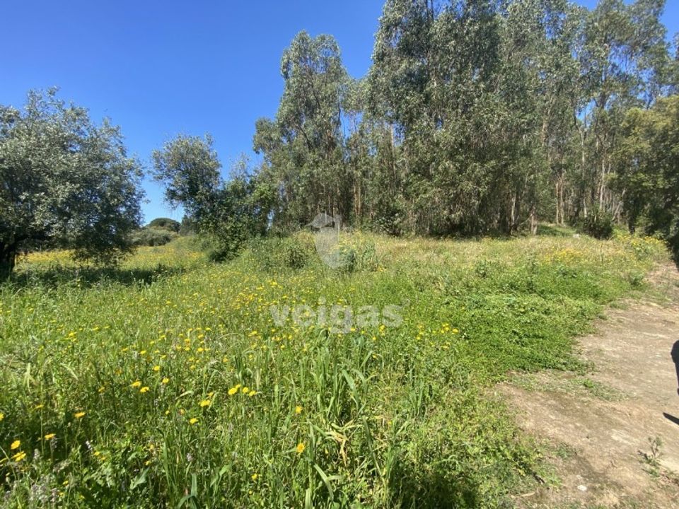 Helårsgrund i Rio Maior, Santarem - foto 2